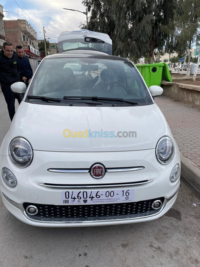 Fiat Fiat 2023 Dull