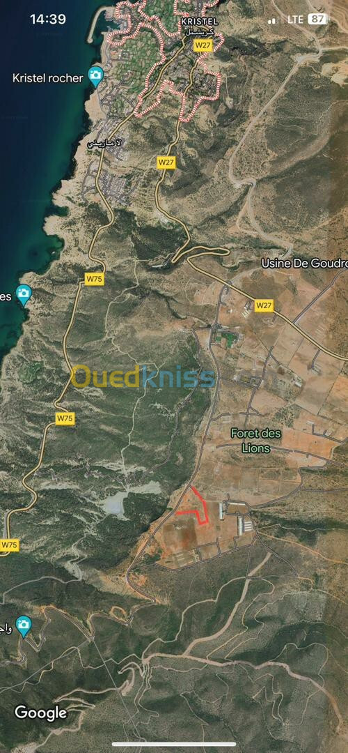 Vente Terrain Oran Bir el djir