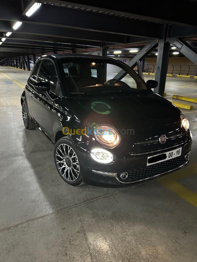 Fiat 500 2024 Dotchi veta