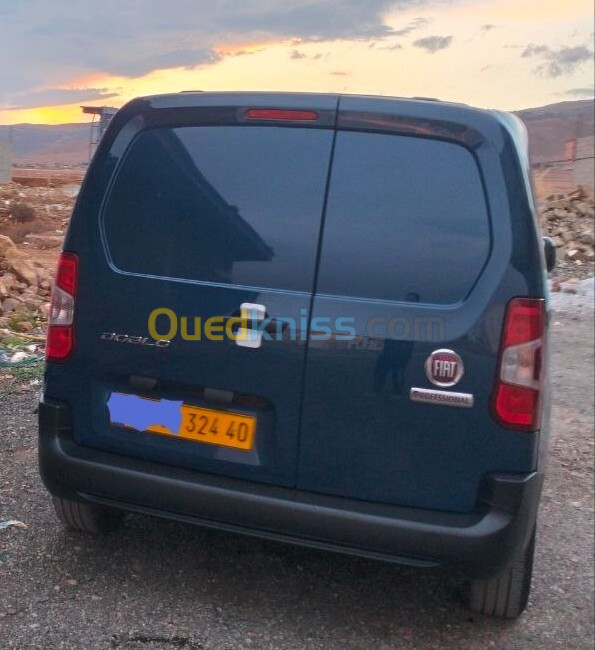 Fiat Professional Doblo 2024 