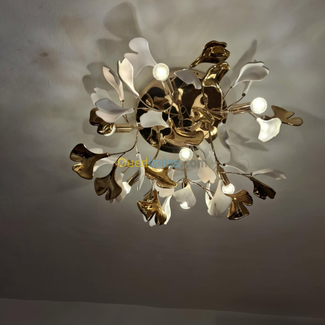 LUSTRE MODERNE!