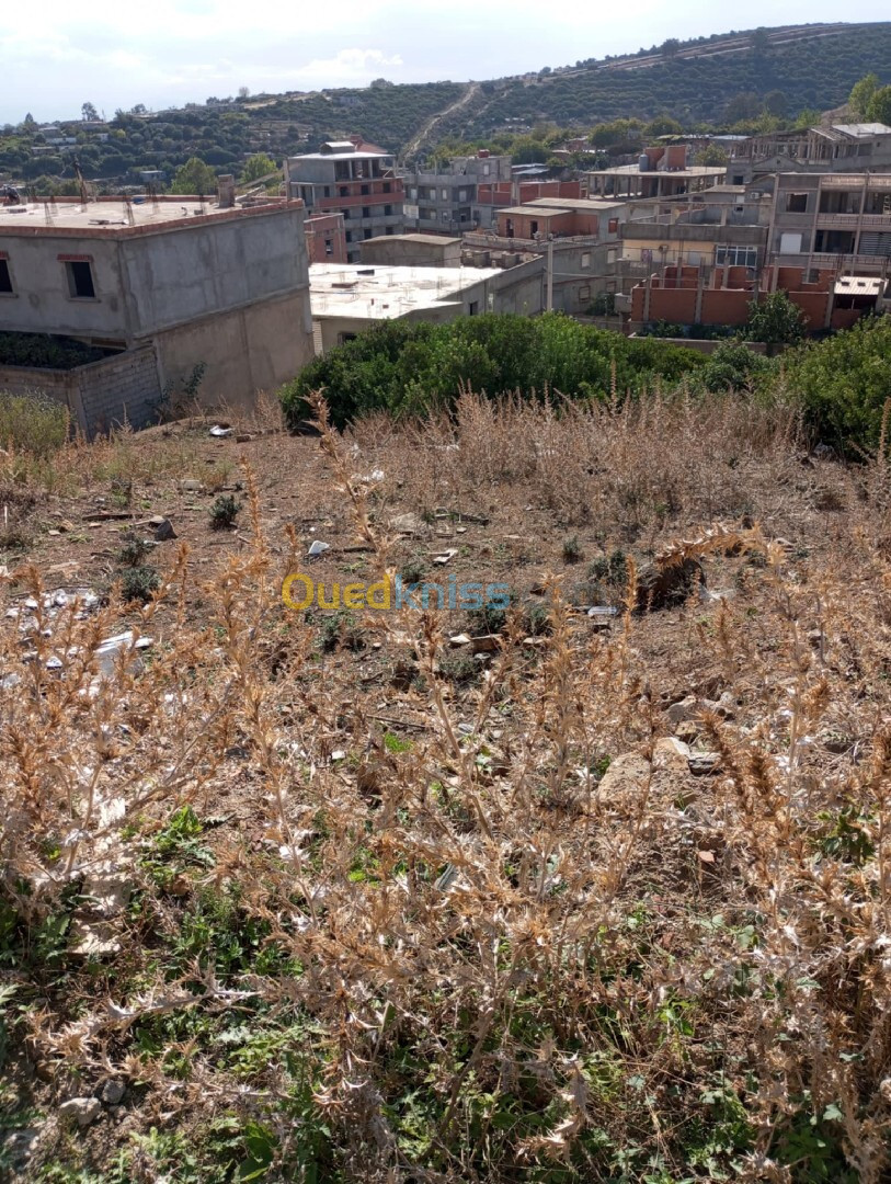 Vente Terrain Annaba Sidi amar