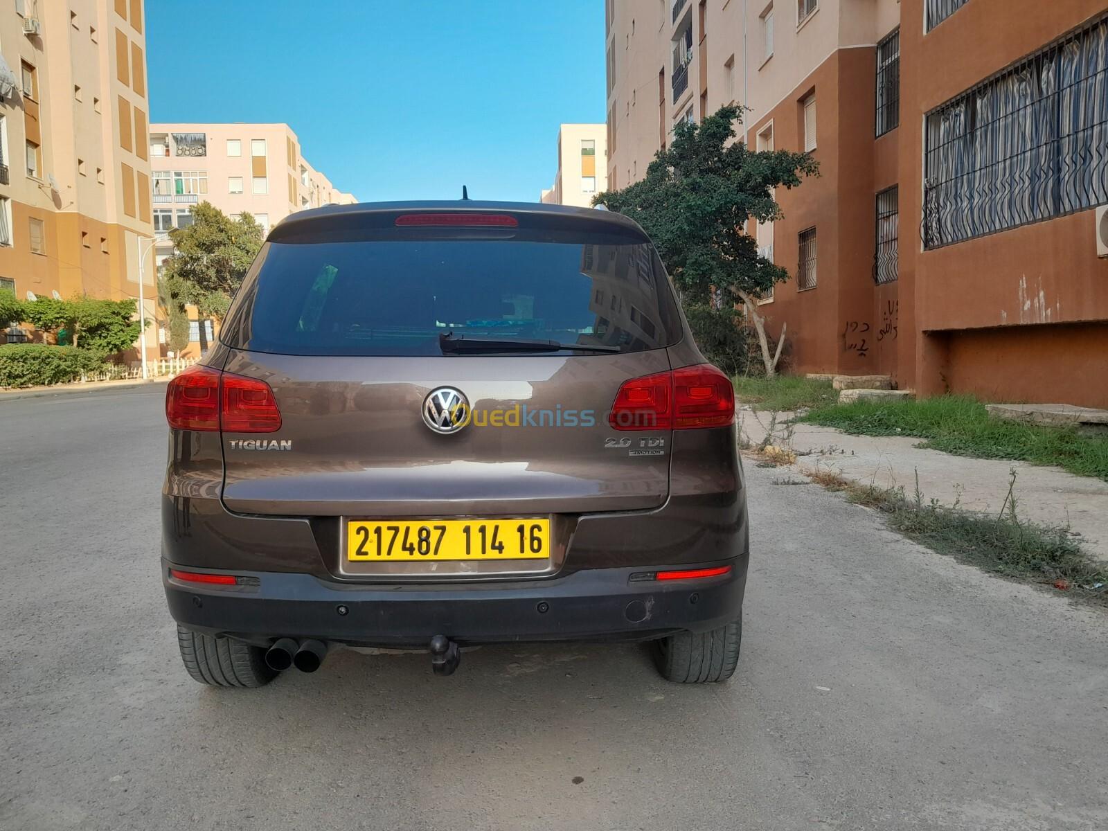 Volkswagen Tiguan 2014 Cup