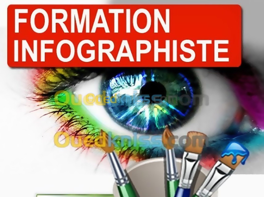 Formation: INFOGRAPHISTE PROFESSIONNEL