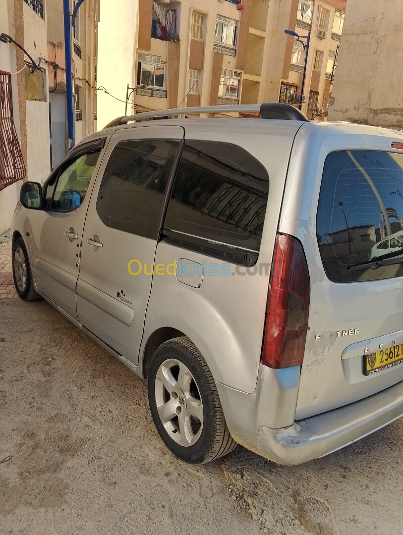 Peugeot Partner 2009 Tepee