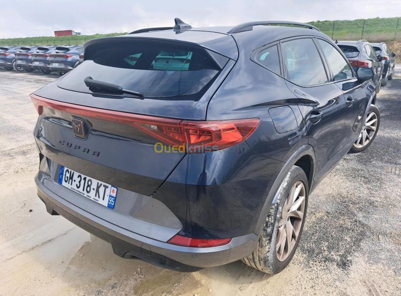 Seat cupra 2023 cupra