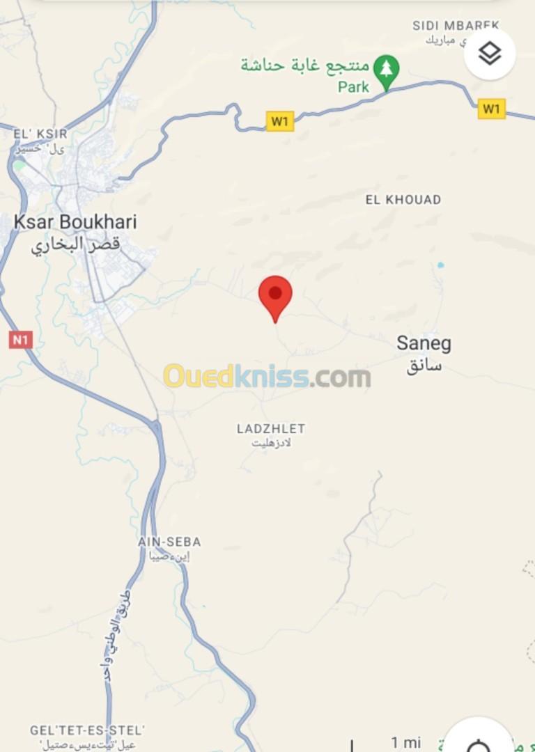 Vente Terrain Médéa Ksar boukhari