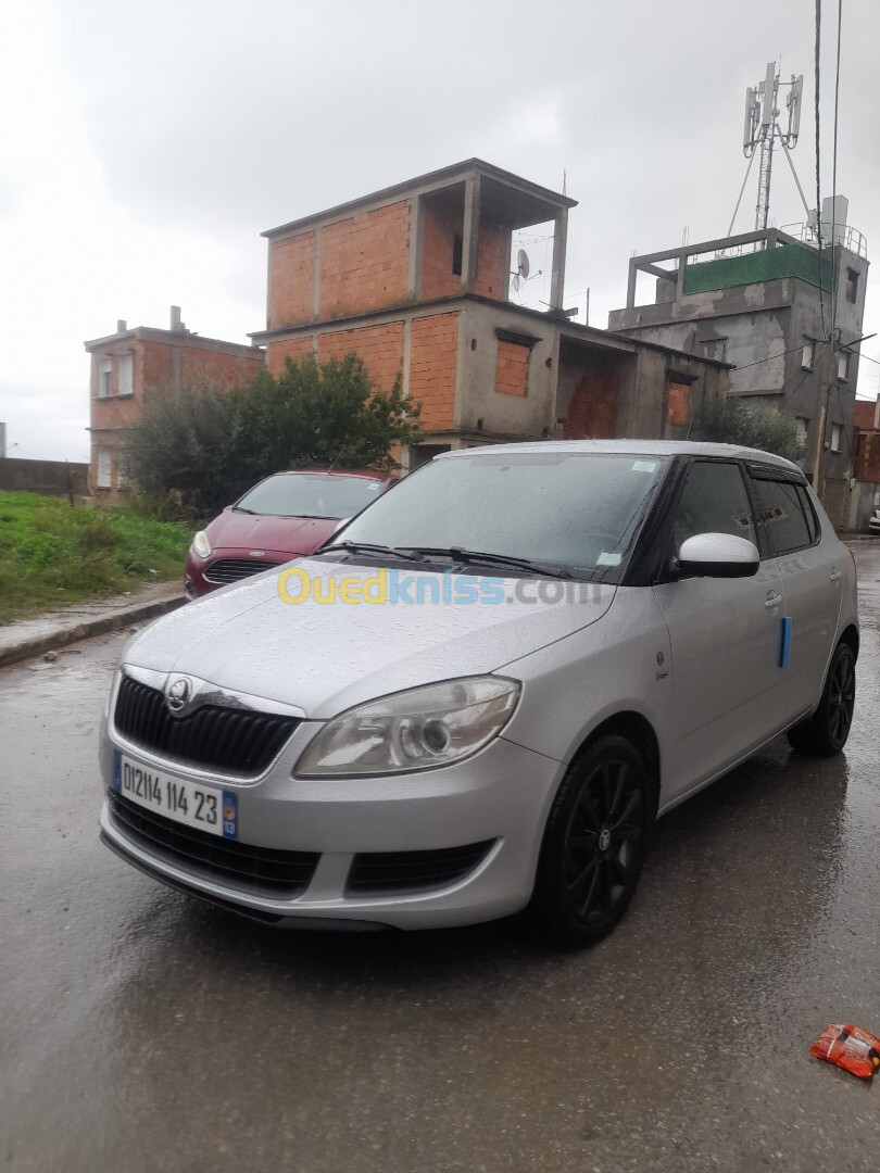 Skoda Fabia 2014 Visage