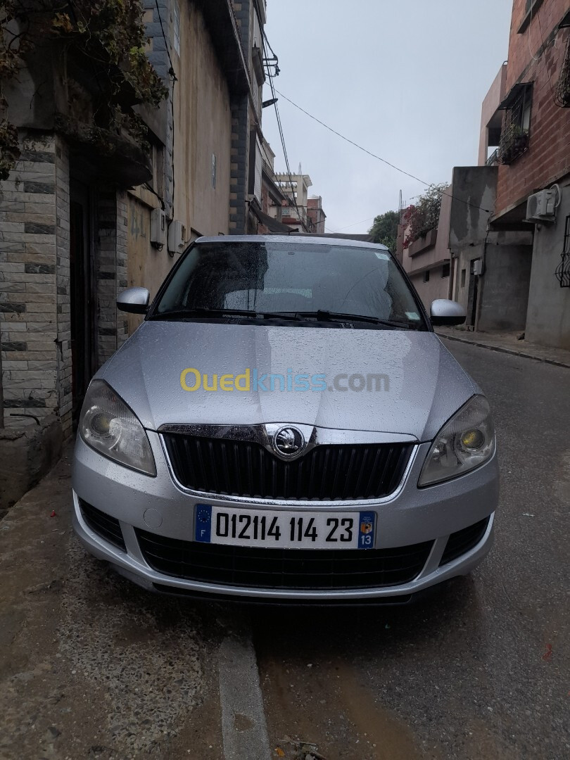 Skoda Fabia 2014 Visage