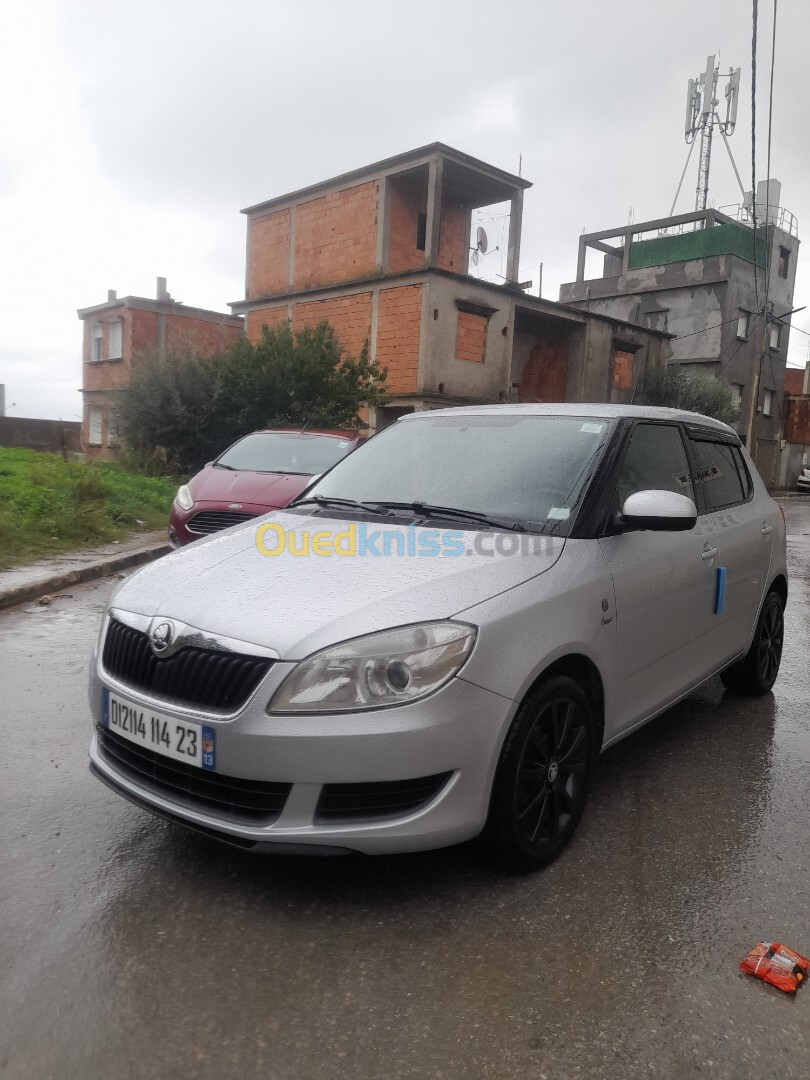 Skoda Fabia 2014 Visage