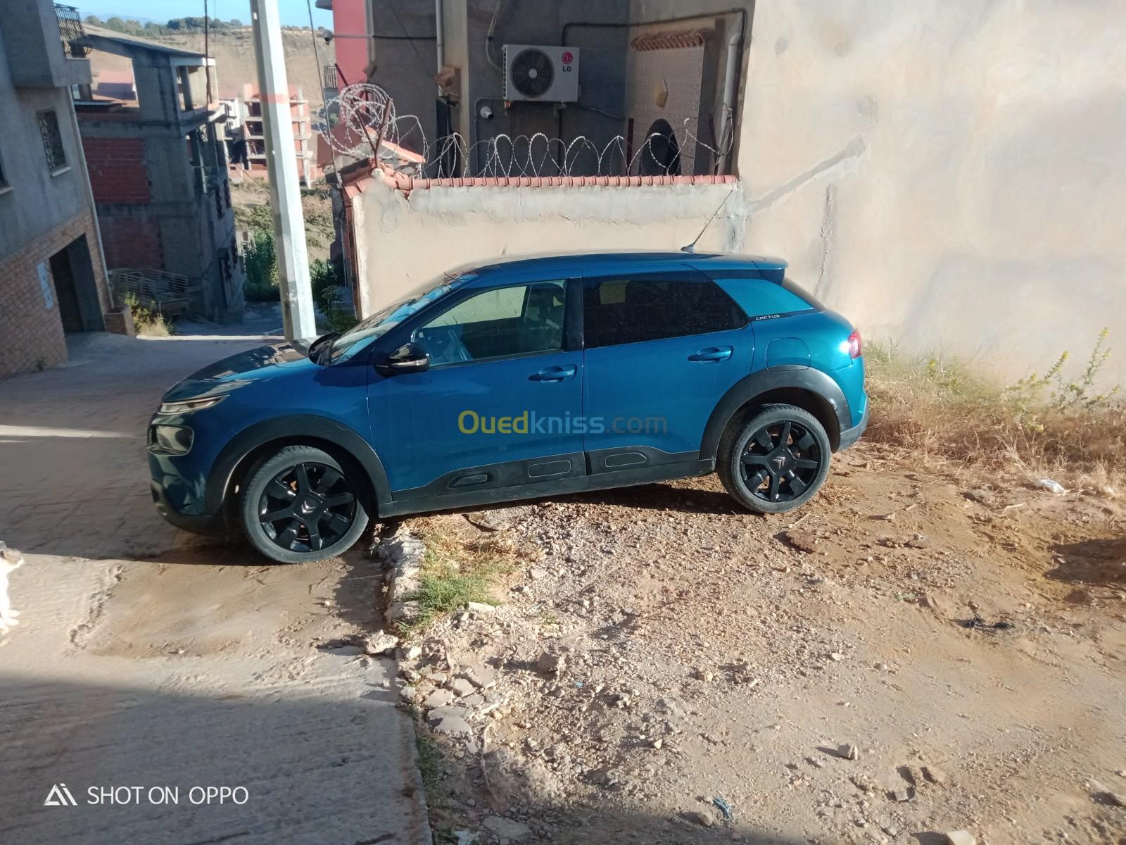 Citroen C4 Cactus 2021 C4 cactes