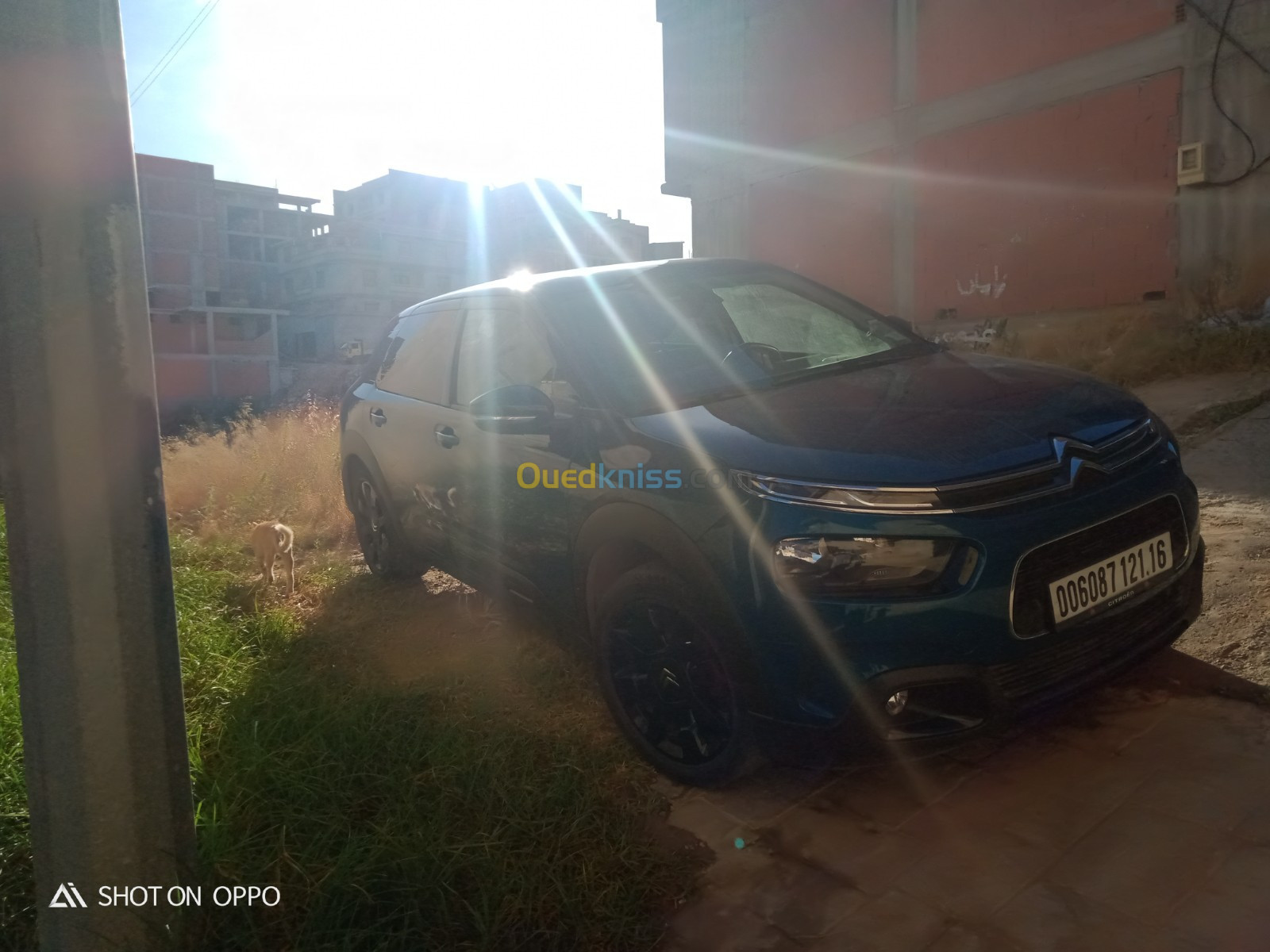 Citroen C4 Cactus 2021 C4 cactes