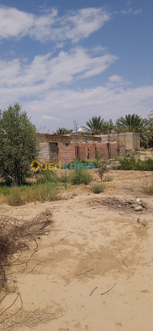 Vente Terrain Agricole Biskra Biskra