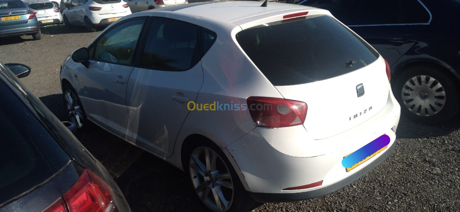 Seat Ibiza 2011 Loca