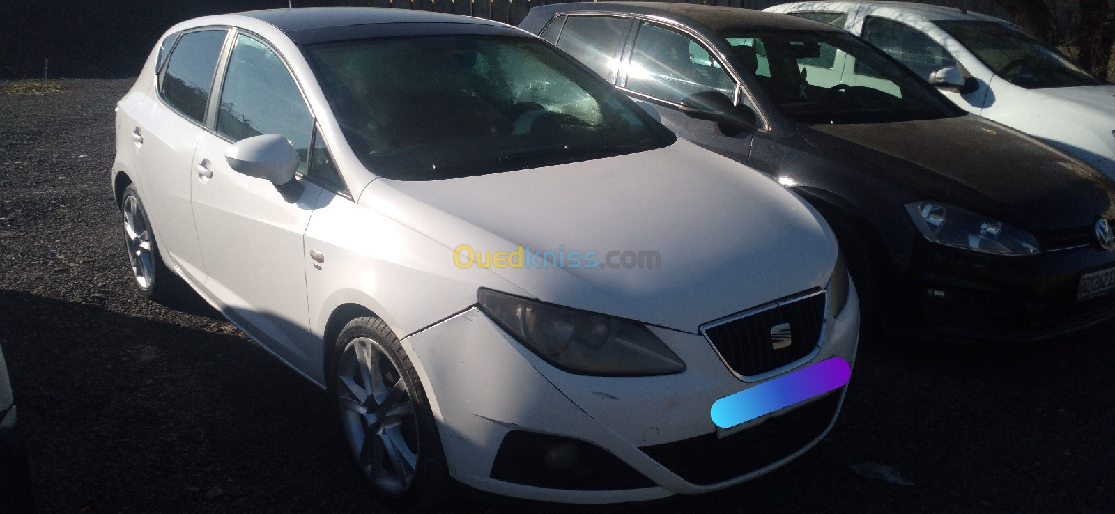 Seat Ibiza 2011 Loca