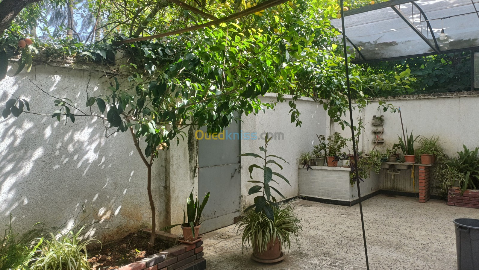 Vente Villa Alger Dar el beida