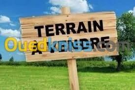 Vente Terrain Skikda Skikda