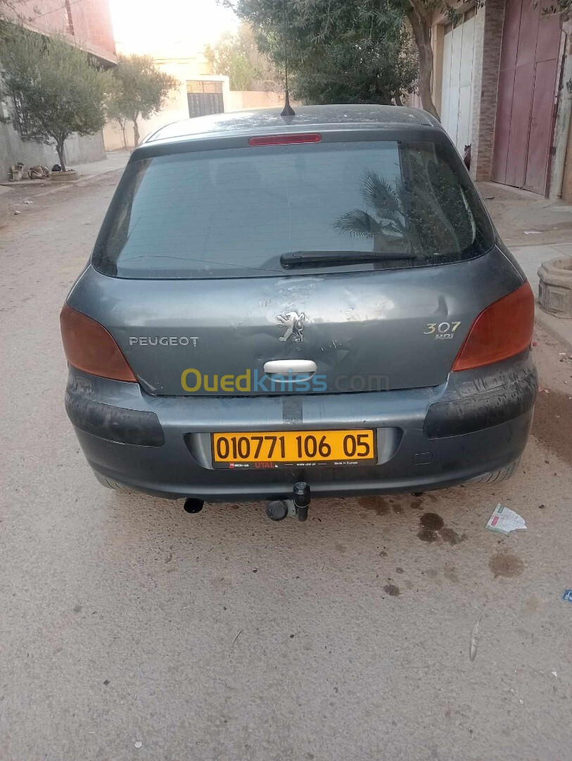 Peugeot 307 2006 307