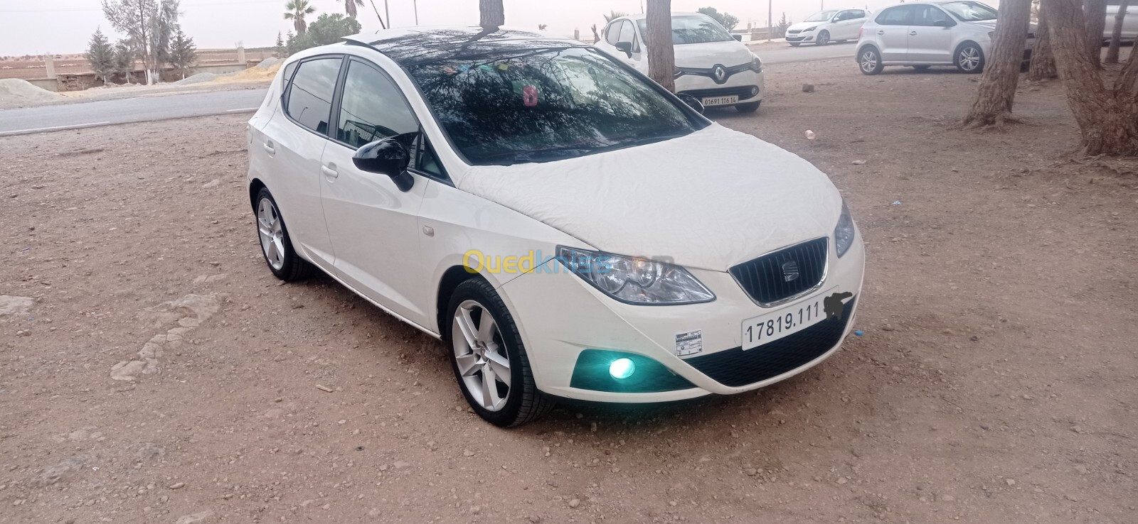 Seat Ibiza 2011 Loca