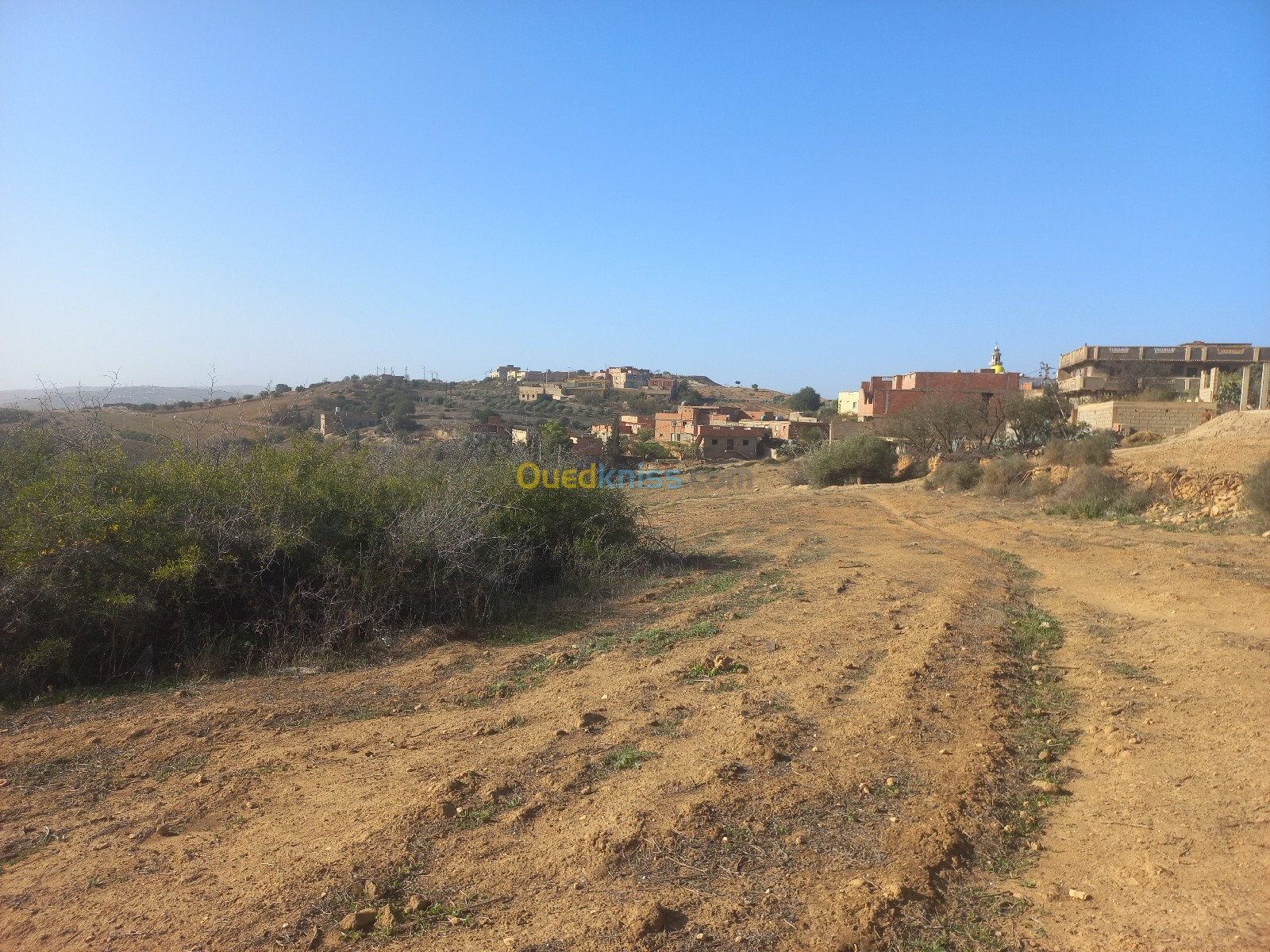 Vente Terrain Relizane Mazouna