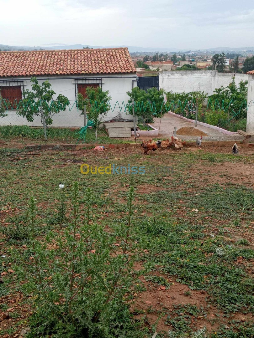 Vente Villa Chlef Chettia