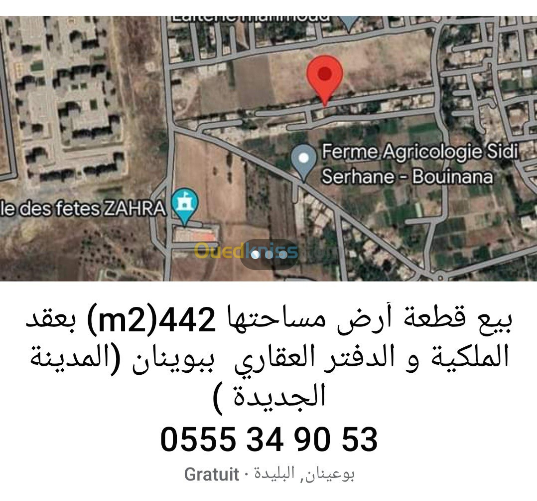 Vente Terrain Blida Bouinan