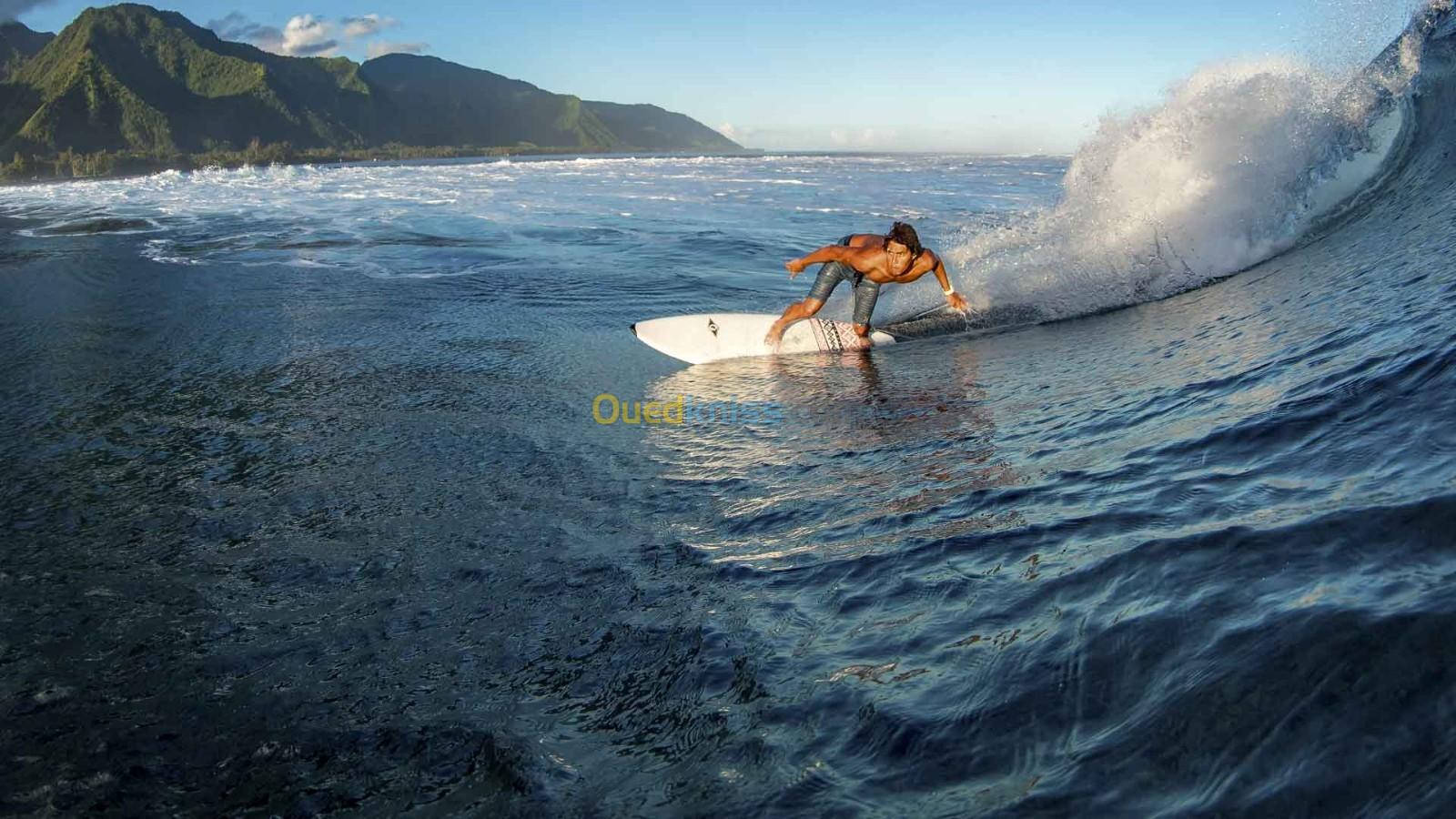 planche de surf de bic sport Fish 5'10" 