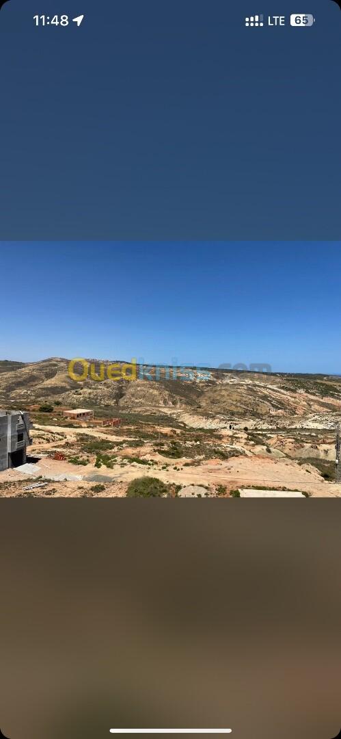 Vente Terrain Tlemcen Msirda fouaga