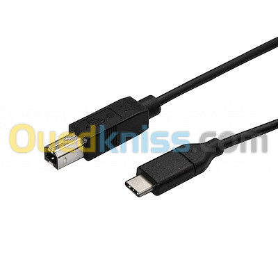 Câble Imprimante vers USB Type-C 2M