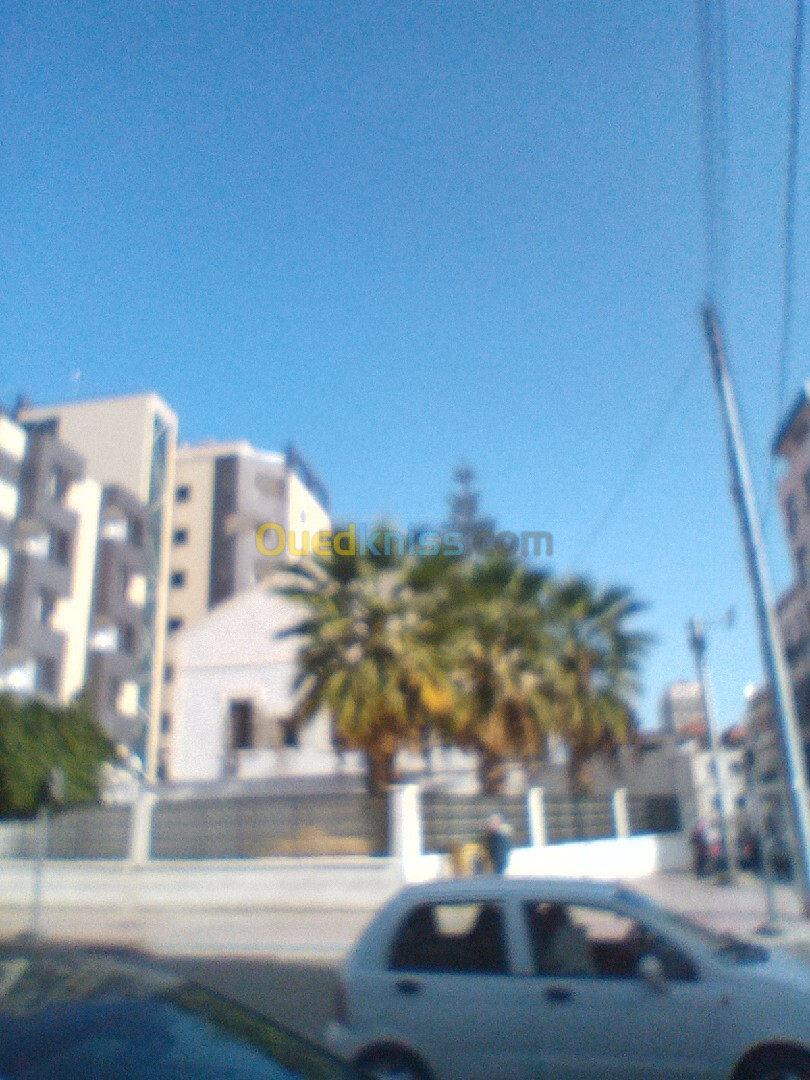 Location Local Alger Belouizdad