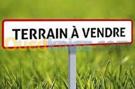 Vente Terrain Agricole Blida El affroun