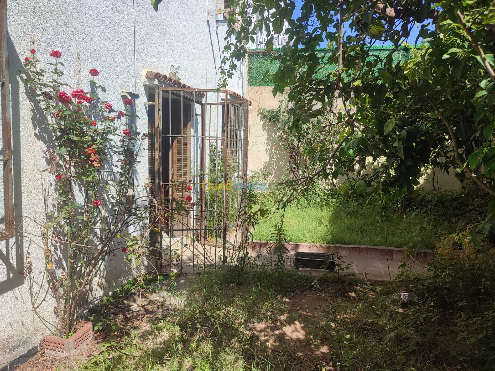 Vente Villa Alger Zeralda