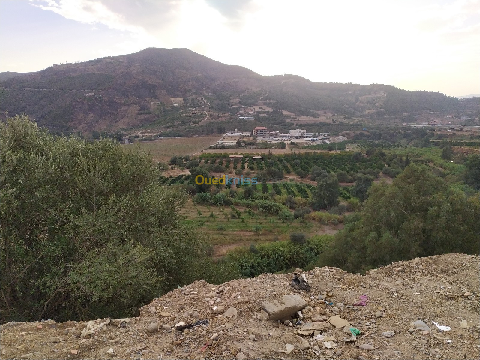 Vente Terrain Bouira Lakhdaria