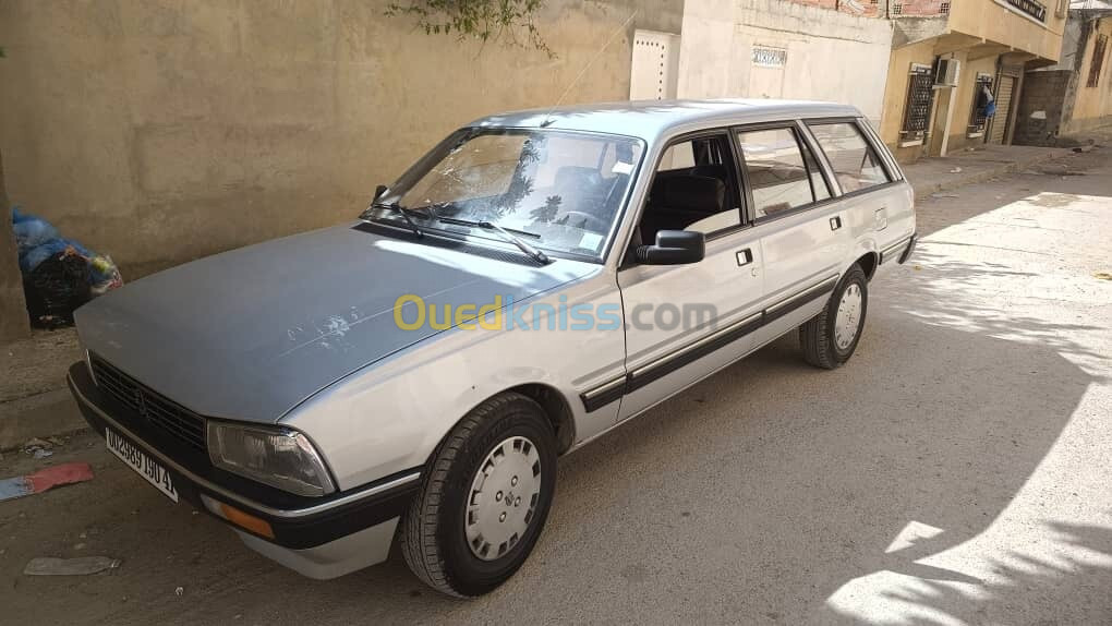 Peugeot 505 1990 505