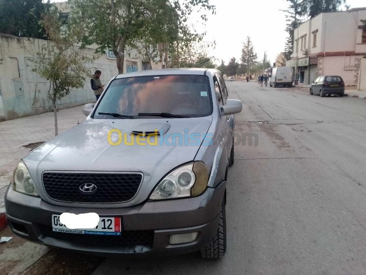 Hyundai Terracan 2004 4*4