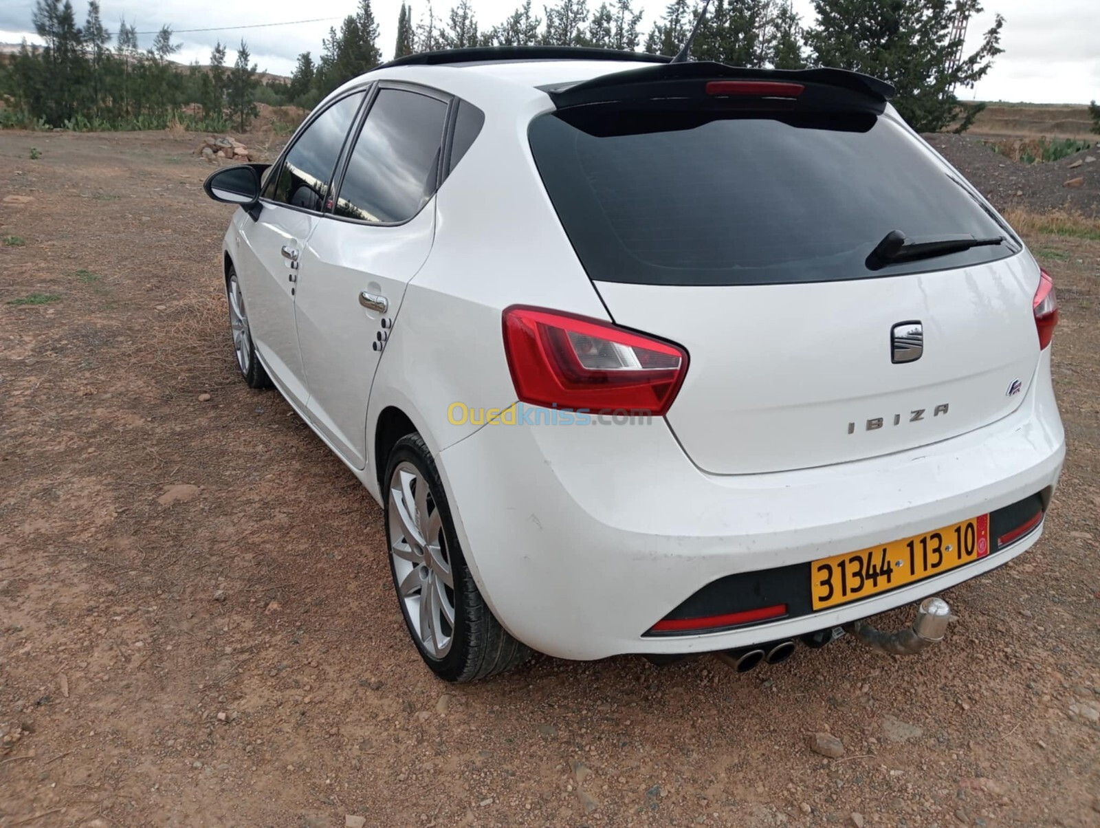 Seat Ibiza 2013 Ibiza