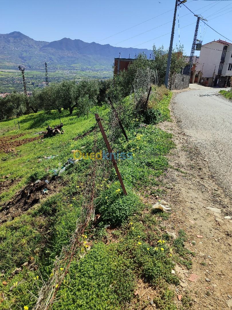 Vente Terrain Béjaïa Ouzellaguen