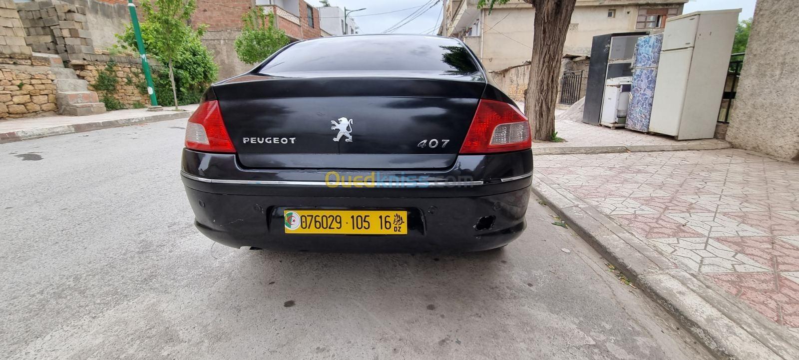 Peugeot 407 2005 407