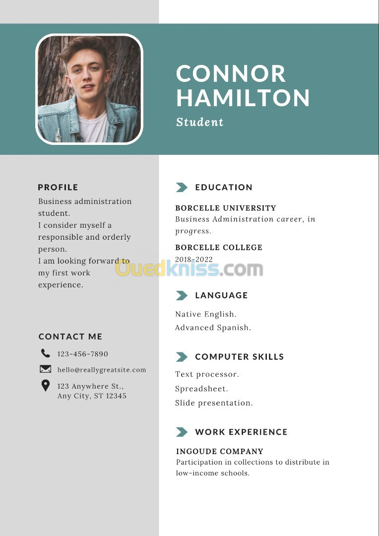 Creation de CV professionnel 