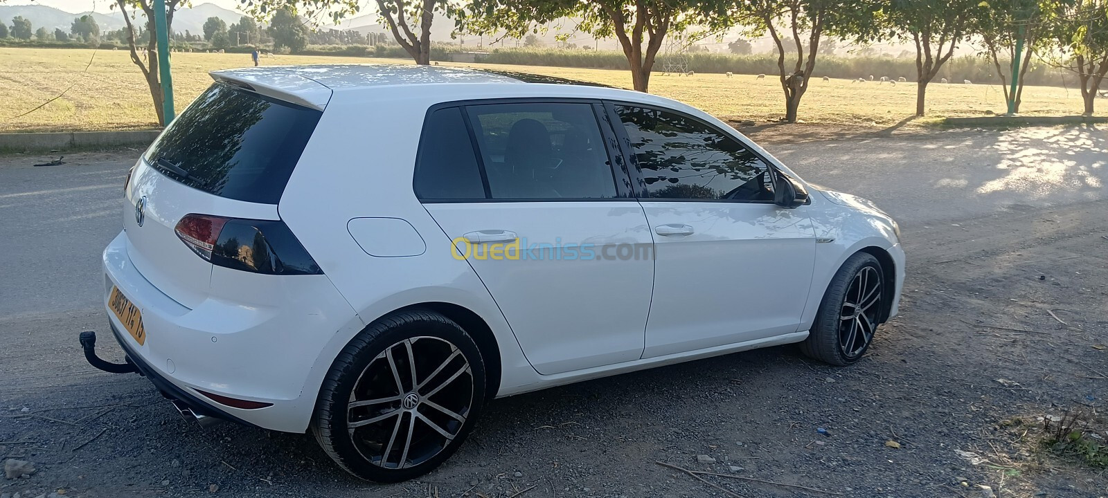 Volkswagen Golf 7 2014 Cup