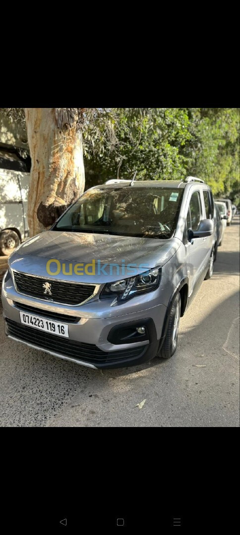 Peugeot Rifter 2019 2019