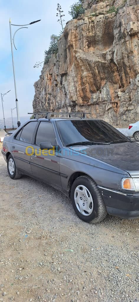 Peugeot 405 1992 405