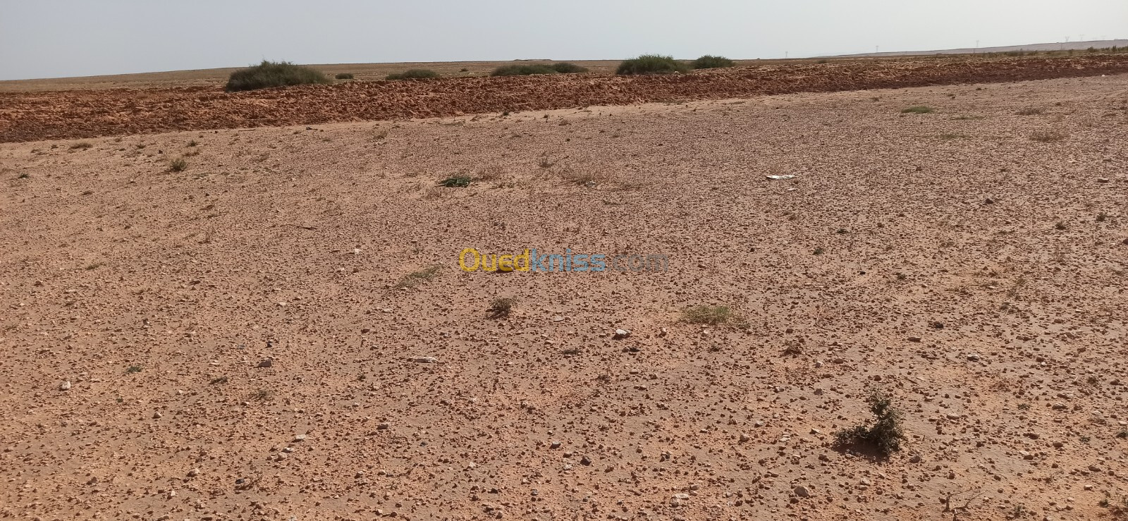 Vente Terrain Agricole Djelfa Ain oussara