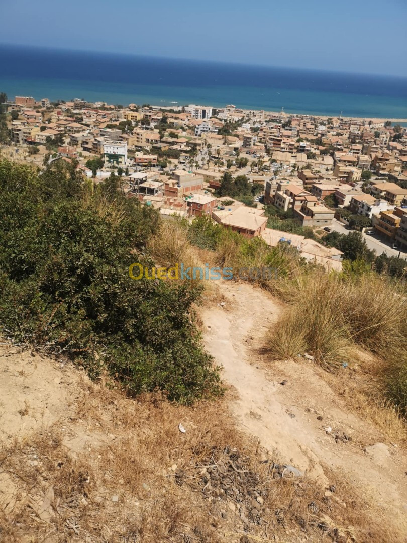 Vente Terrain Tipaza Gouraya