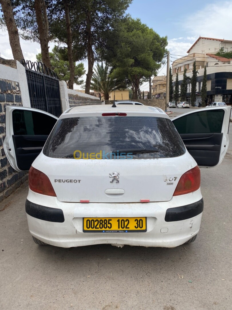 Peugeot 307 2002 307