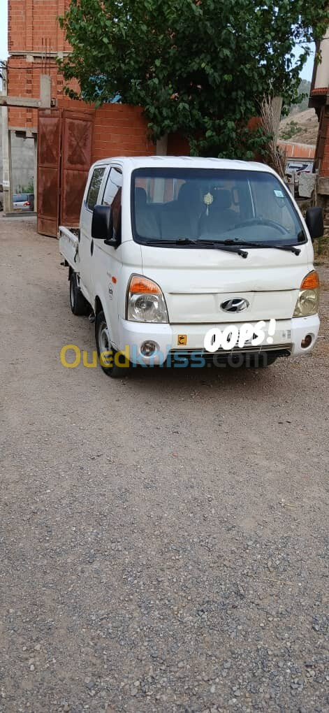 Hyundai H 100 2009 H 100