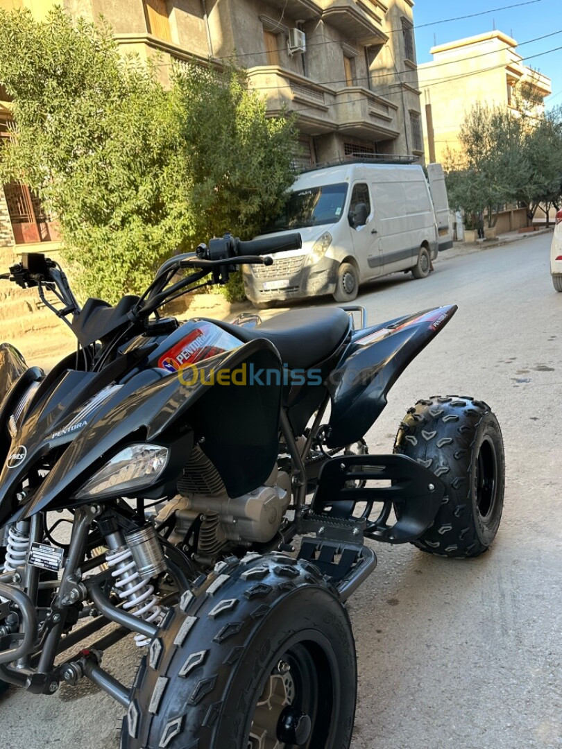 vms Quad 250 cc 2024