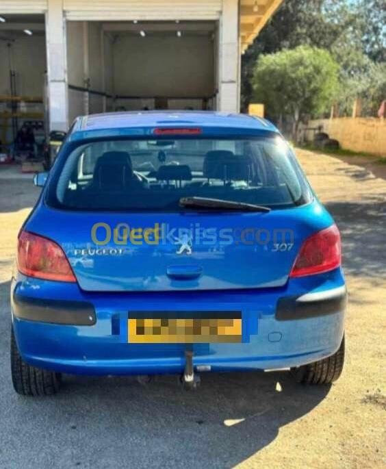 Peugeot 307 2002 307