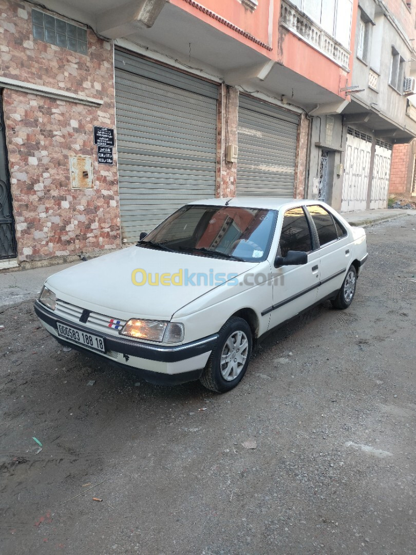 Peugeot 405 1988 405