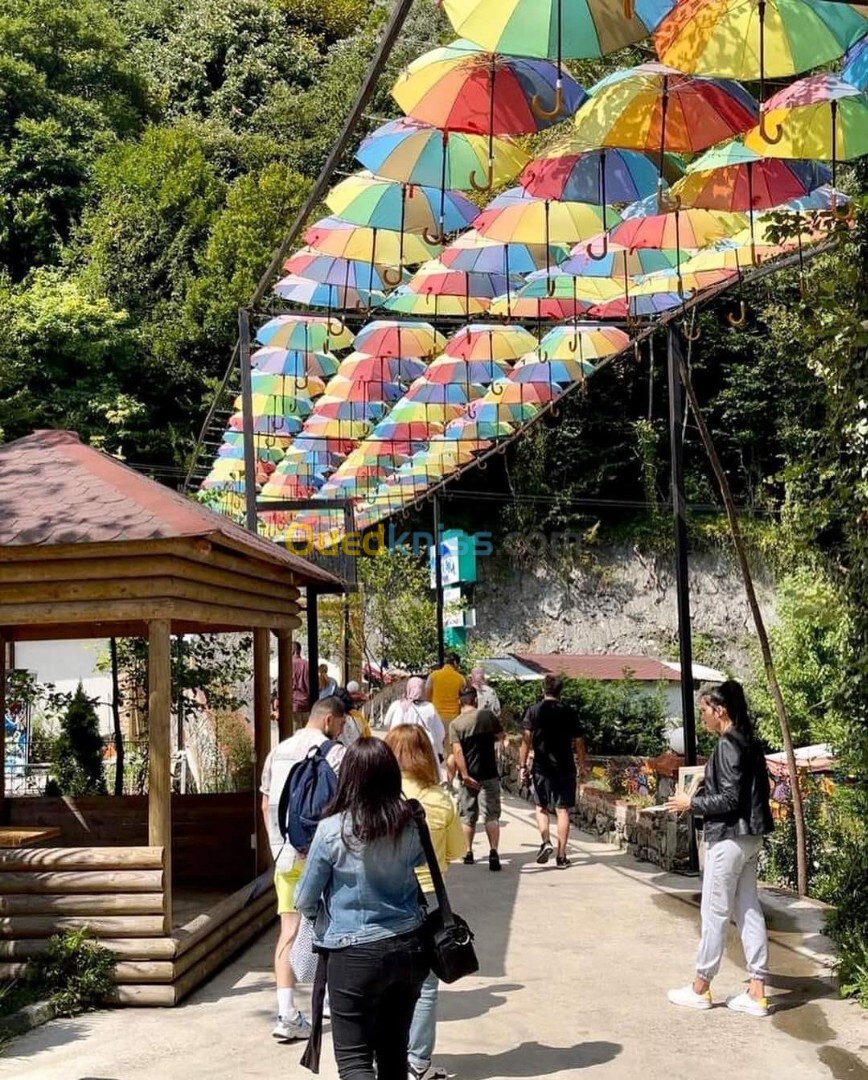 Voyage organisé à Istanbul  hiver